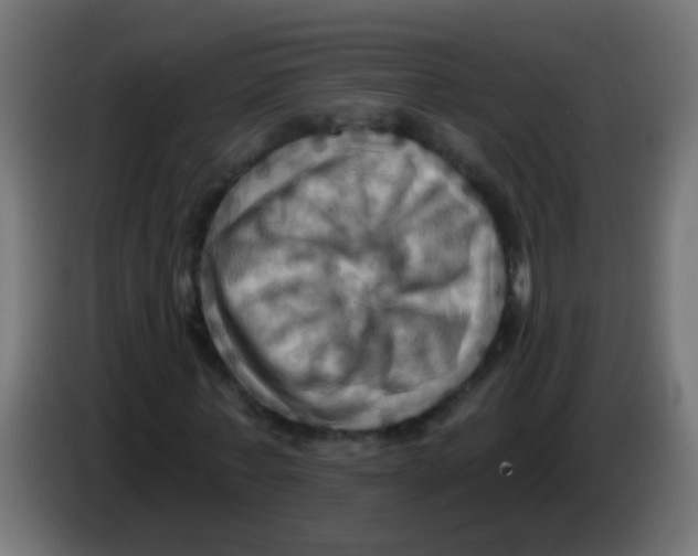 X0000083040771200703022048