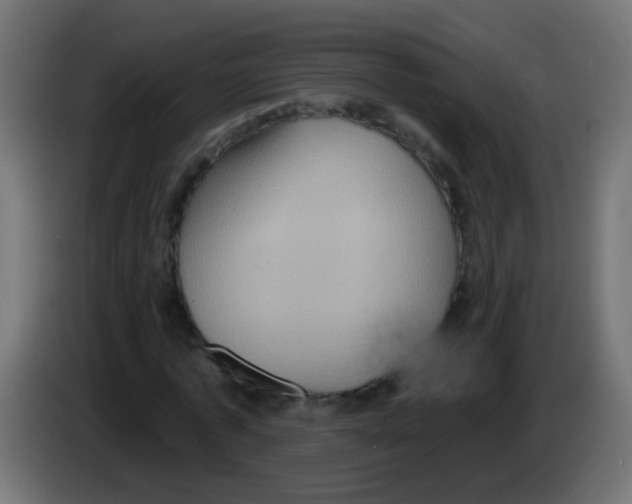 X0000083040773200703022048