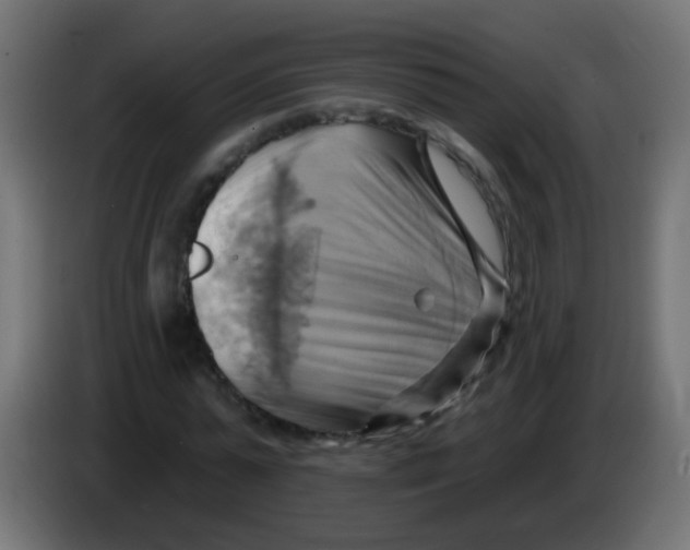 X0000083040775200703022048