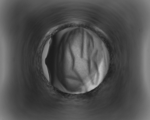 X0000083040776200703022048