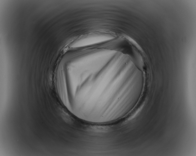 X0000083040777200703022048