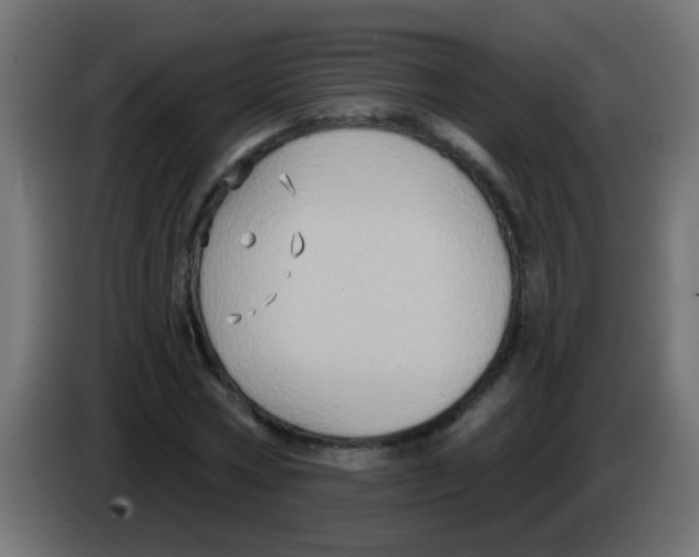 X0000083040778200703022048