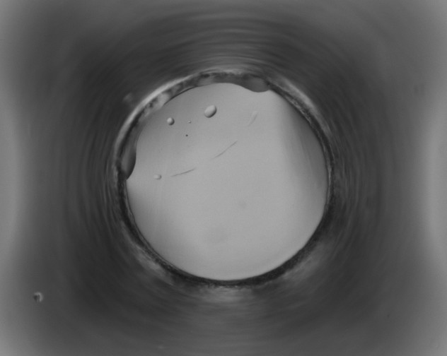 X0000083040779200703022048