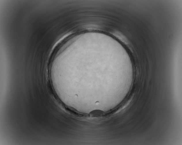 X0000083040782200703022048