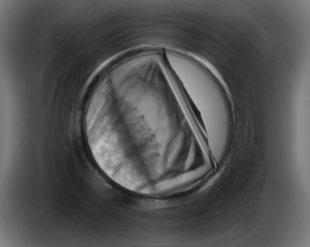 X0000083040783200703022048