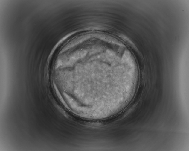 X0000083040784200703022048