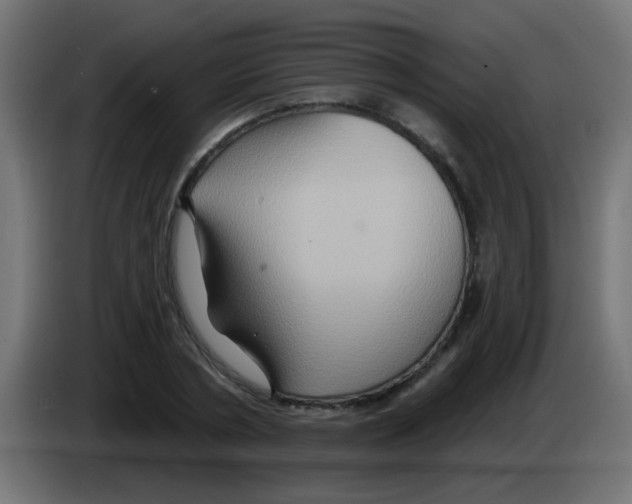 X0000083040786200703022047