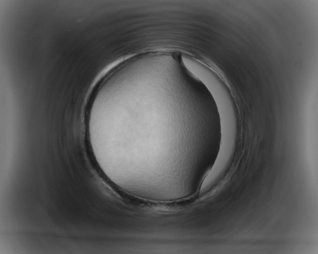X0000083040787200703022047
