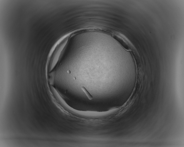 X0000083040788200703022047