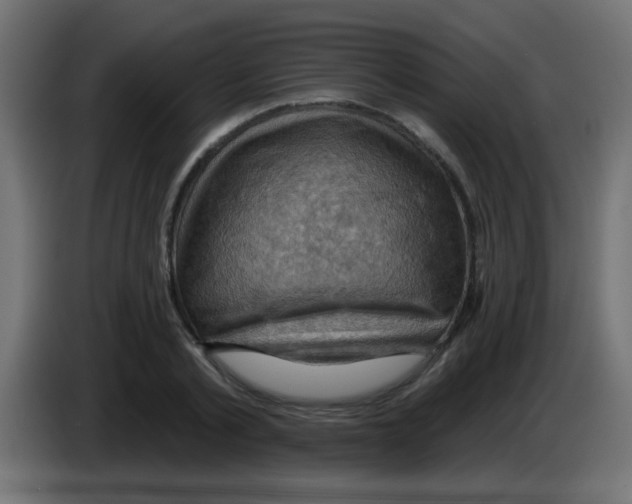 X0000083040789200703022047