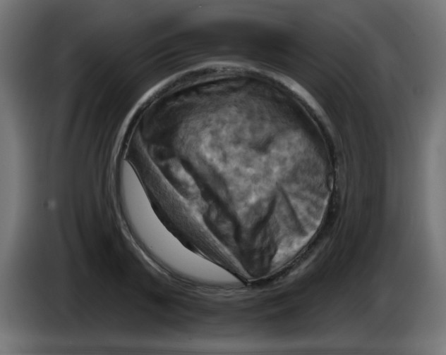 X0000083040791200703022047