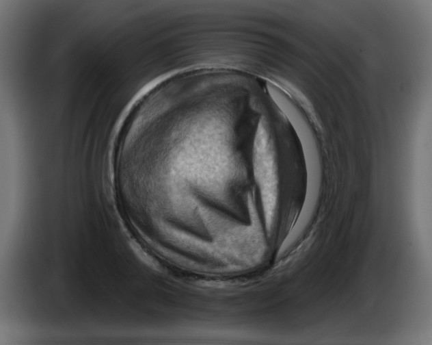 X0000083040792200703022047