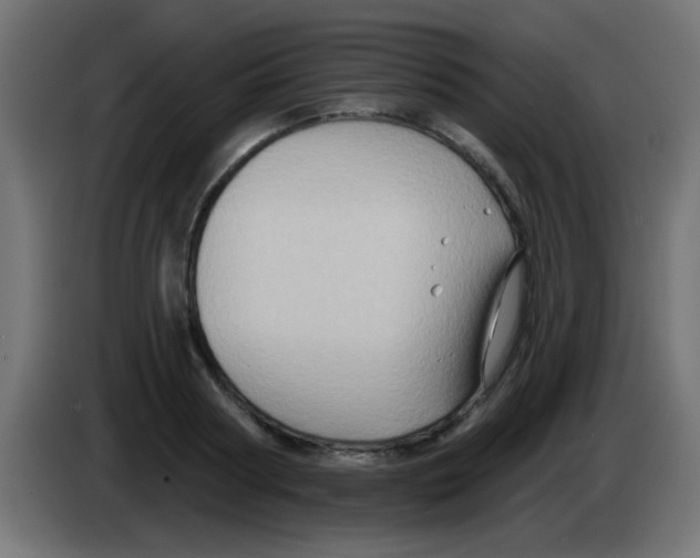 X0000083040794200703022047