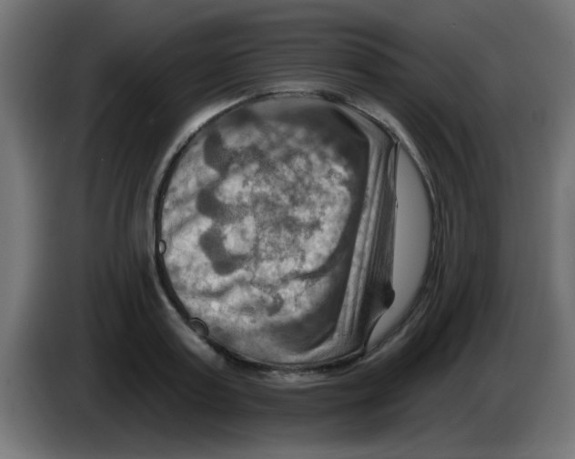 X0000083040795200703022047