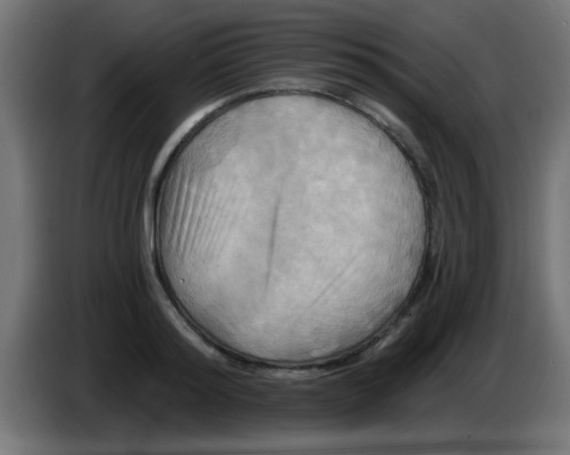 X0000083040796200703022047