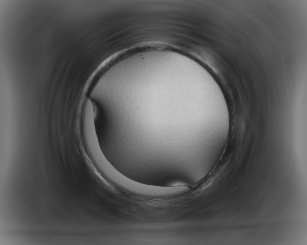 X0000083040799200703022047