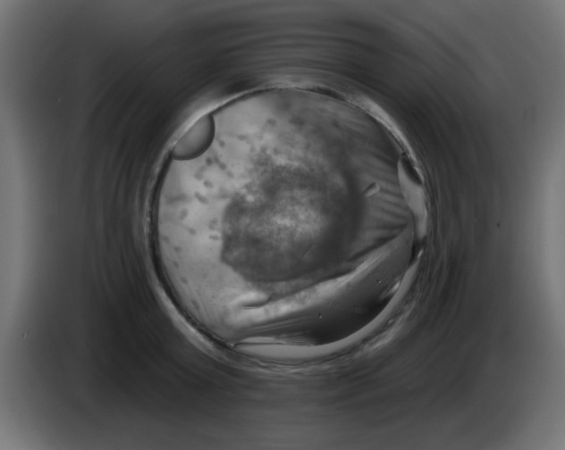 X0000083040803200703022047