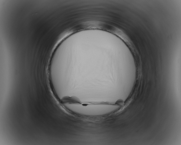 X0000083040806200703022047