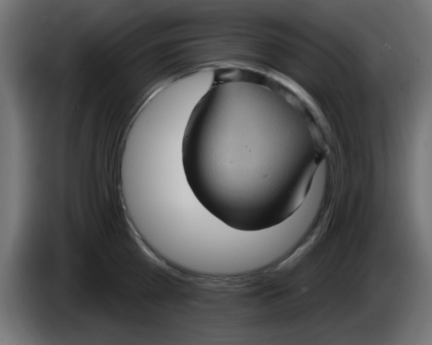 X0000083040809200703022047