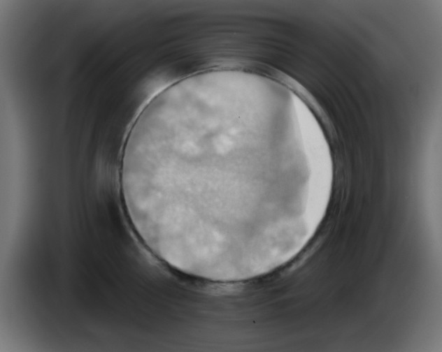 X0000083040810200703022047