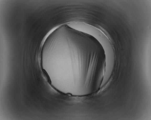 X0000083040812200703022047