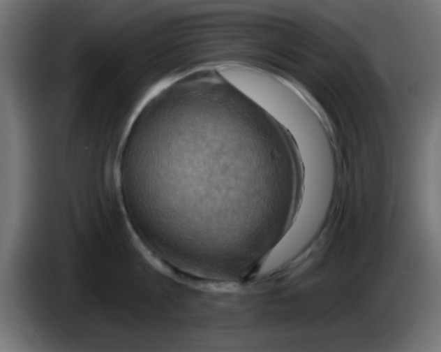 X0000083040813200703022047