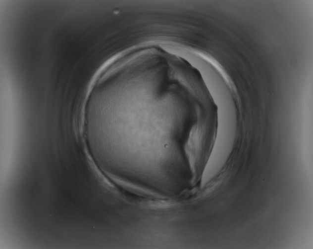 X0000083040815200703022047