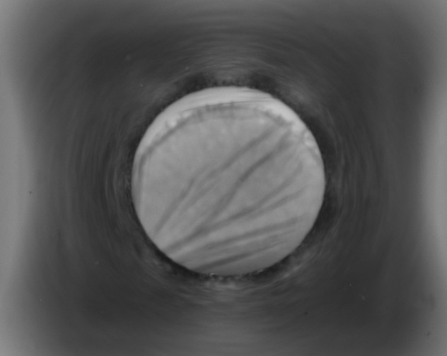 X0000083040817200703022046