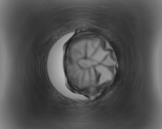 X0000083040818200703022046