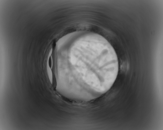 X0000083040819200703022046