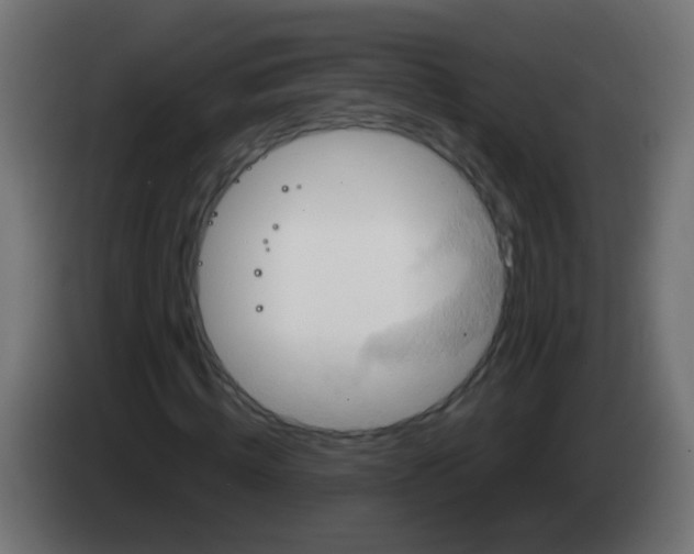 X0000083040820200703022046