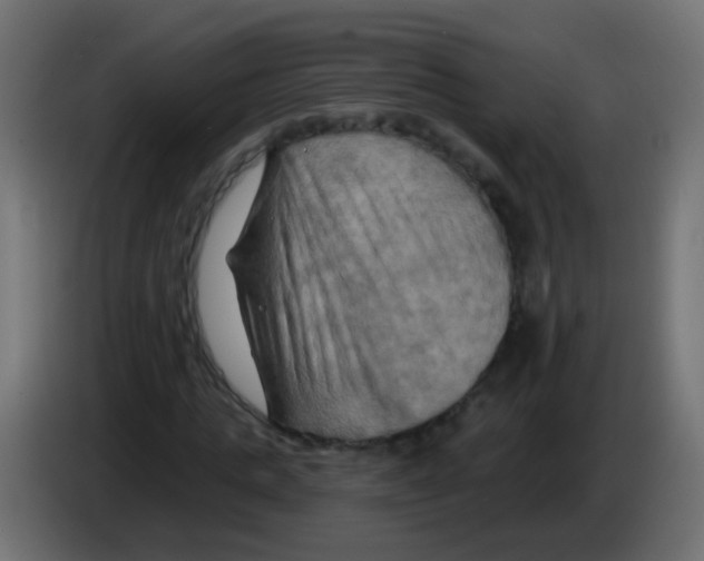 X0000083040821200703022046