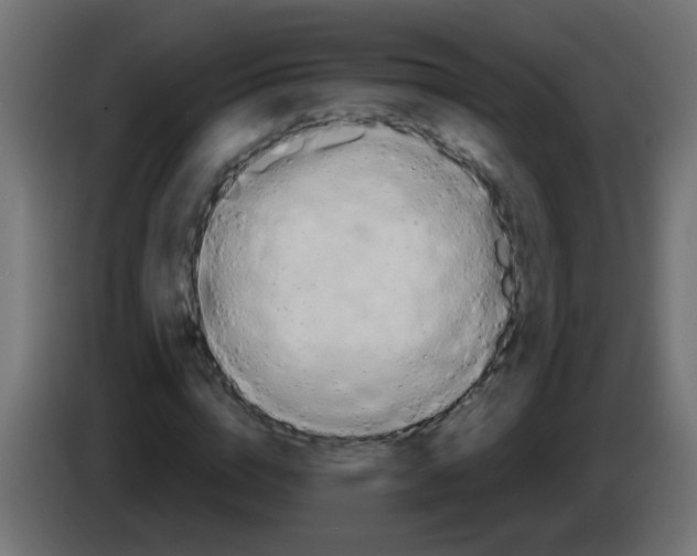 X0000083040824200703022046