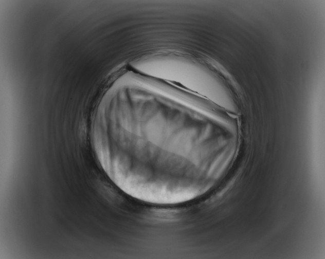 X0000083040825200703022046