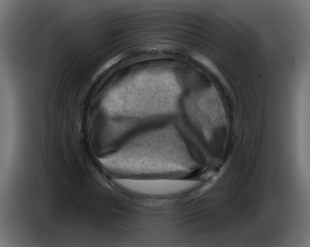 X0000083040826200703022047