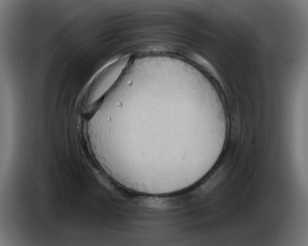 X0000083040827200703022047