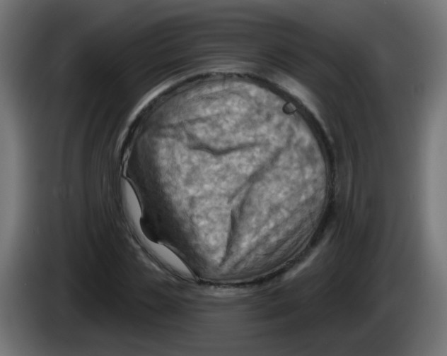 X0000083040829200703022047