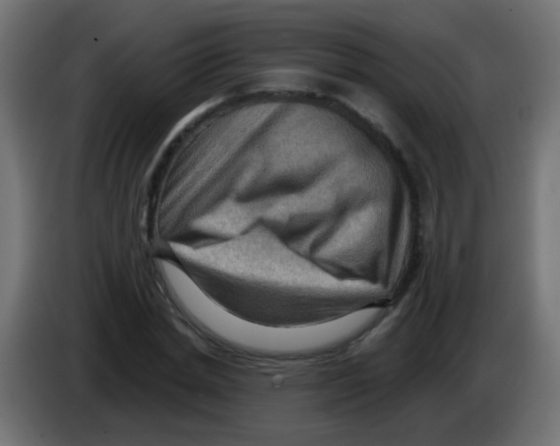 X0000083040830200703022047