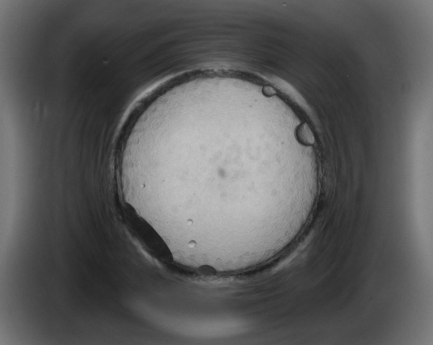 X0000083040831200703022047