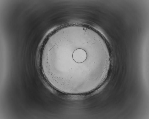 X0000083040832200703022047