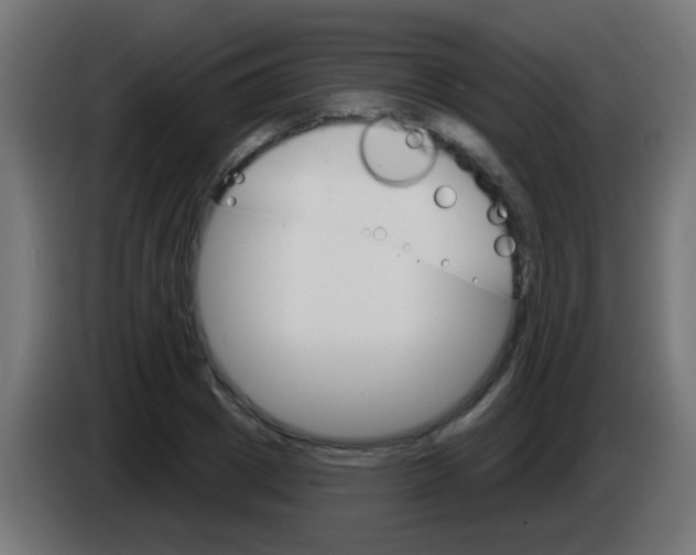 X0000083040833200703022047