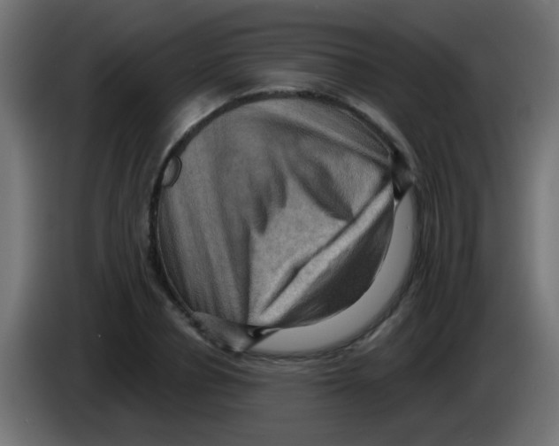 X0000083040834200703022047
