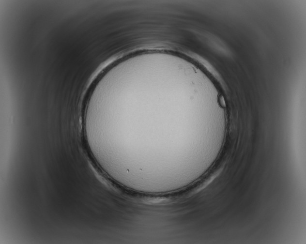 X0000083040837200703022047