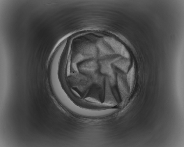 X0000083040838200703022047