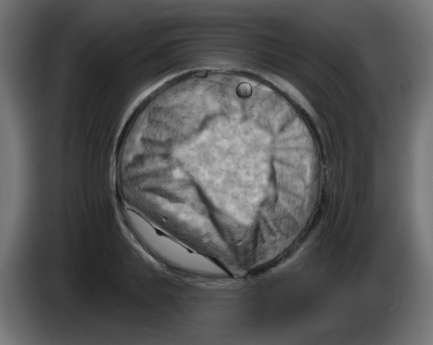 X0000083040839200703022047