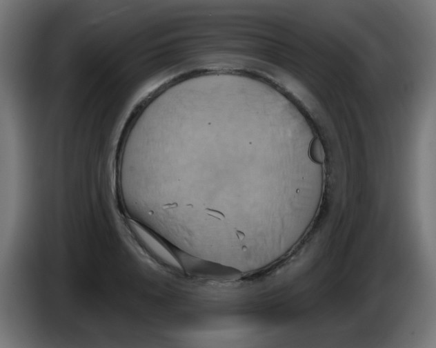 X0000083040840200703022047