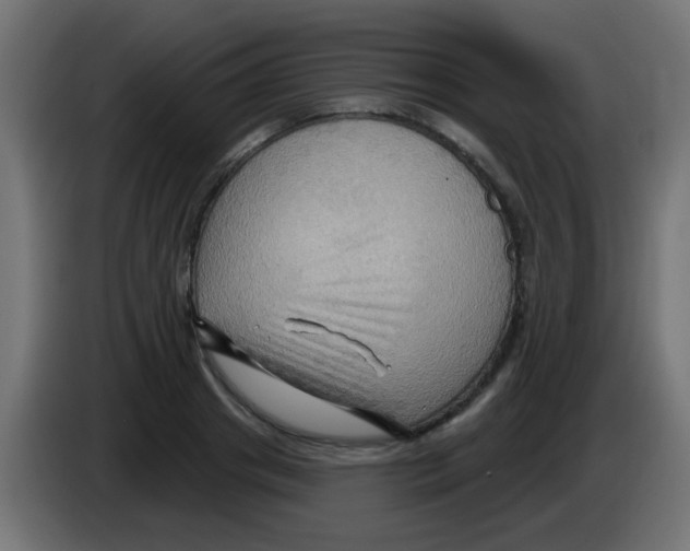 X0000083040841200703022047