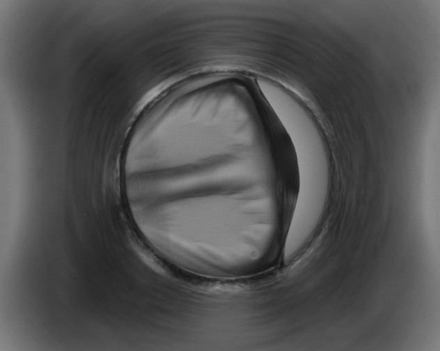X0000083040842200703022047