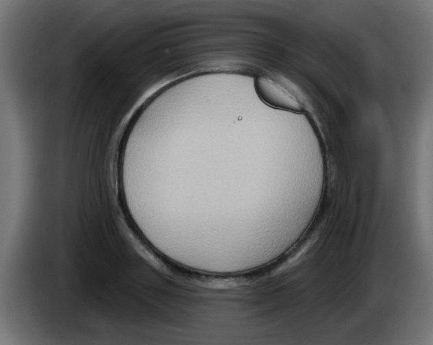 X0000083040843200703022047