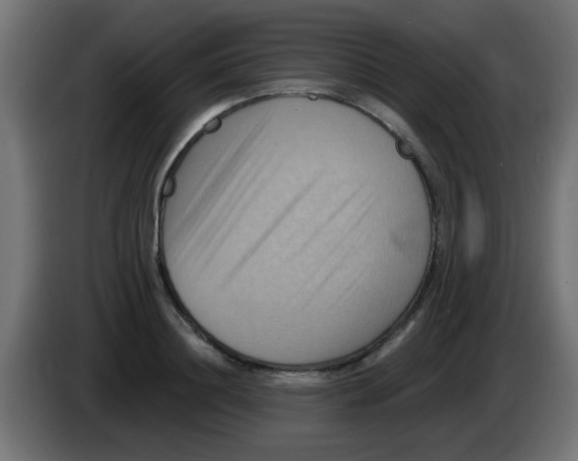 X0000083040844200703022047